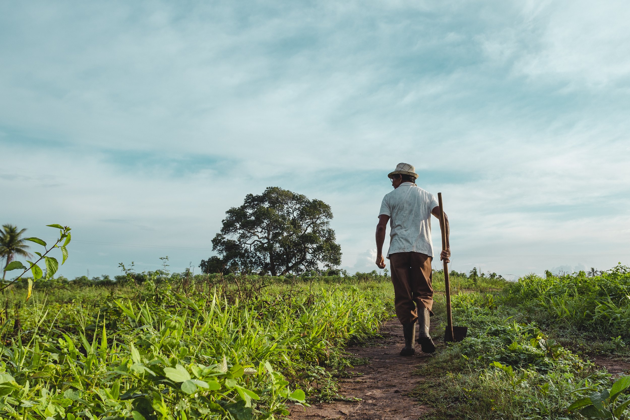 02 DOC Mestre Biu de Dóia - Roça-20.jpg
