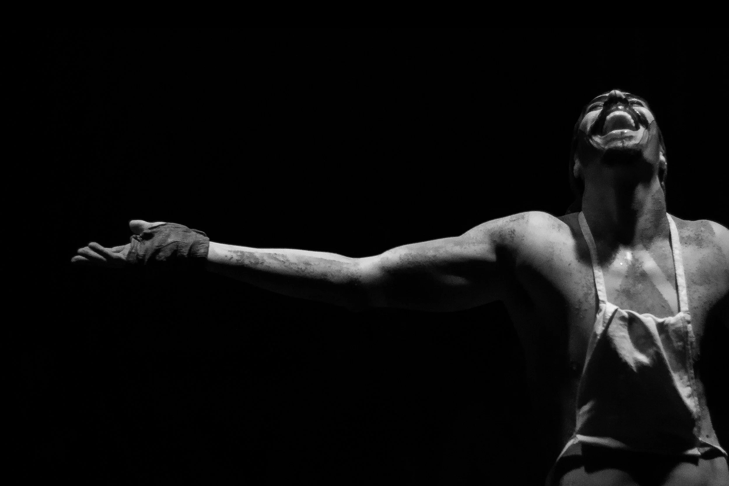 _MG_9017 cópia.jpg