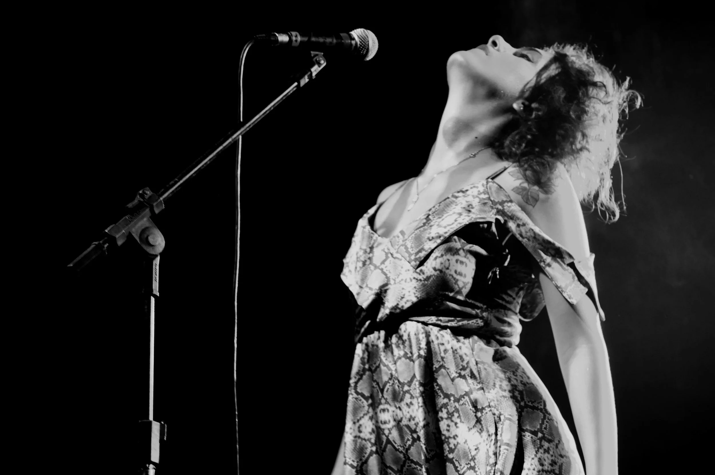 DSC_0282 cópia editada.jpg