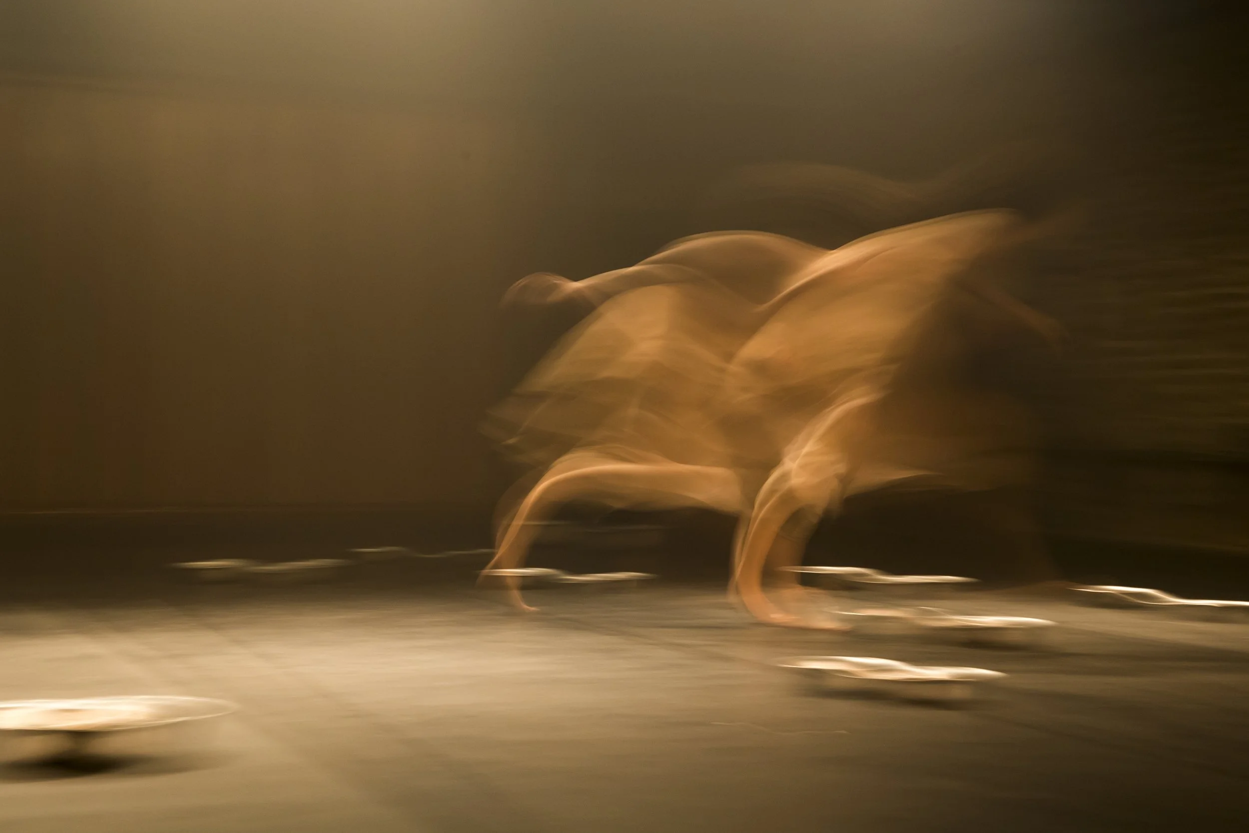 2019-09-17_Sopro d'Água - Espetáculo - FotosThaísLima-64.jpg