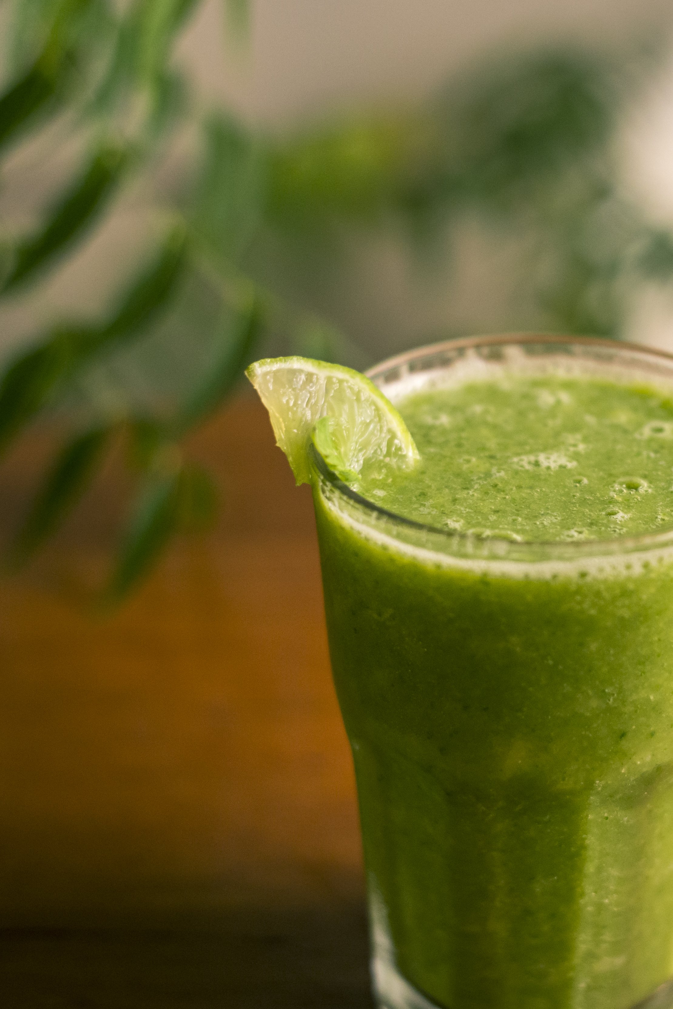 01_Massa Finna_Suco Antioxidante-2.jpg