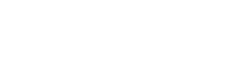 Visköss  |  Flow At Scale