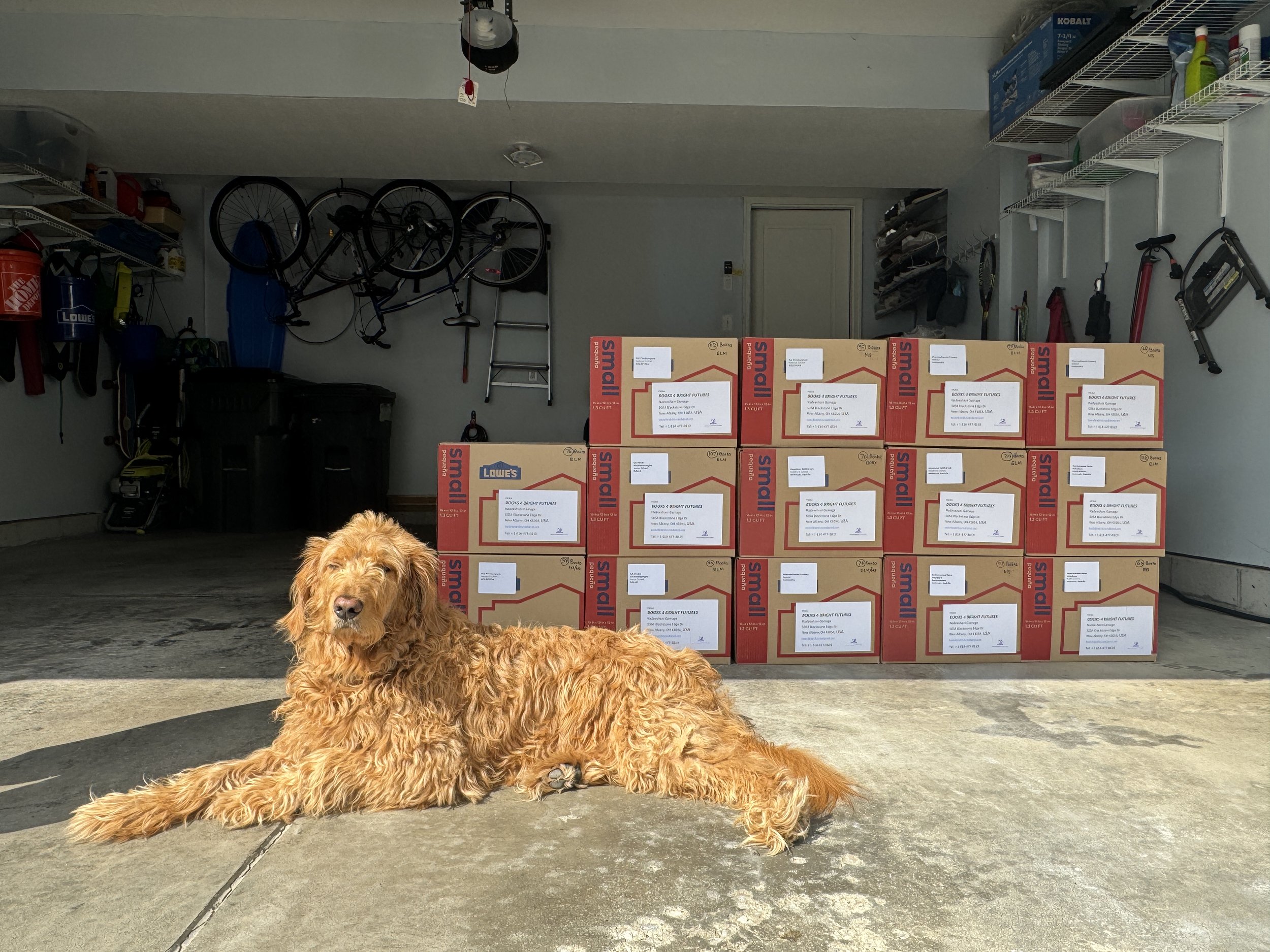 Our 5th Shipment of Books to Sri Lanka