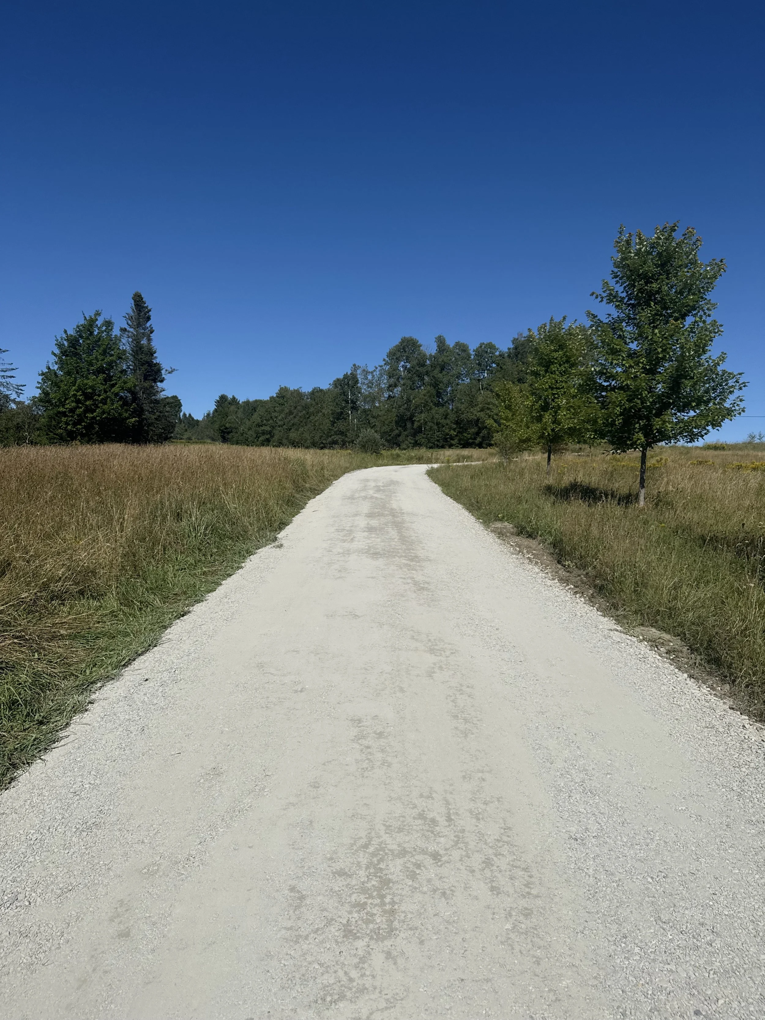 After - Driveway repair
