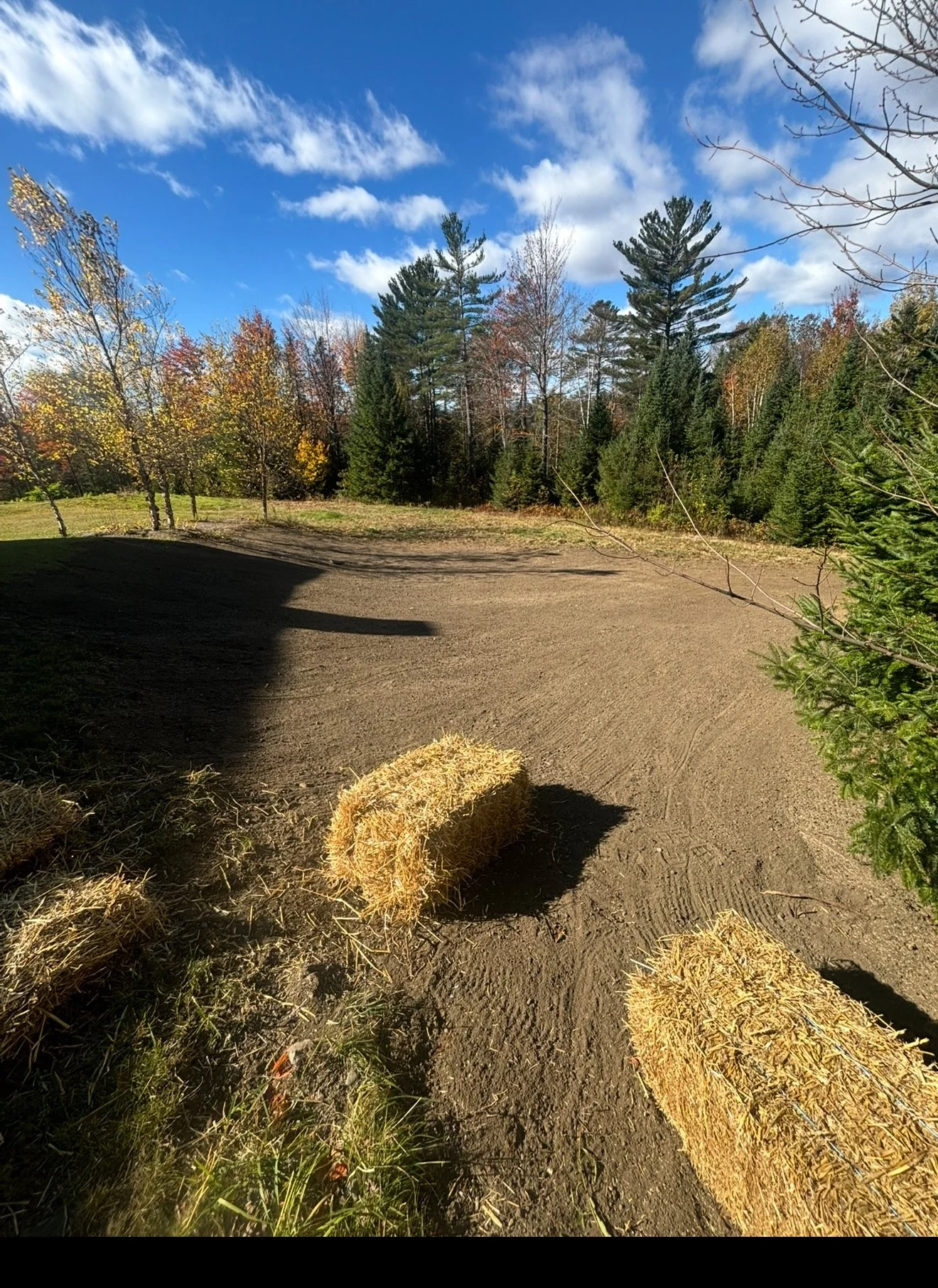 After - Topsoil, insulation and Grading 