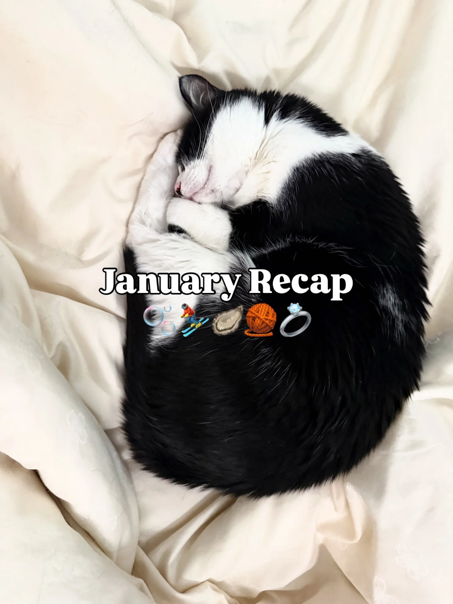 *at the end of 2025. I&rsquo;ve also had a cold for the past week idk what year it is ok

January photo dump, featuring cozy kitties, a week-long internet outage, and a sneak preview at a new kit 👀

#needleandspruce #handembroidery #january2026 #emb