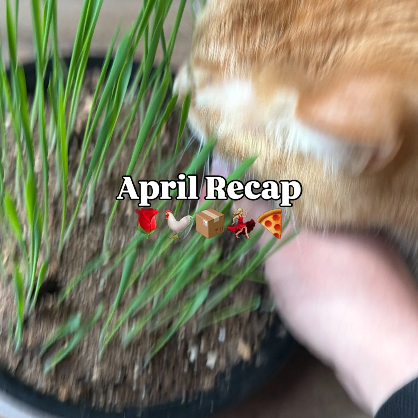 April 🍃

#april #aprilrecap #april2026 #denverlife #denversmallbusiness