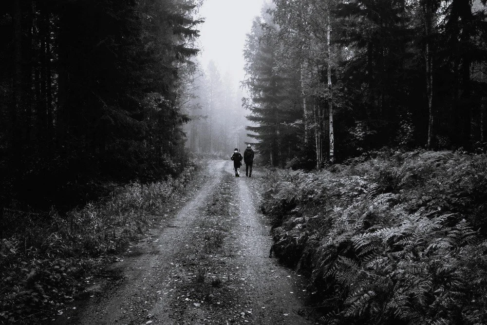 Two people walking on a dirt trail through a dense forest with tall trees on both sides, in a misty environment.