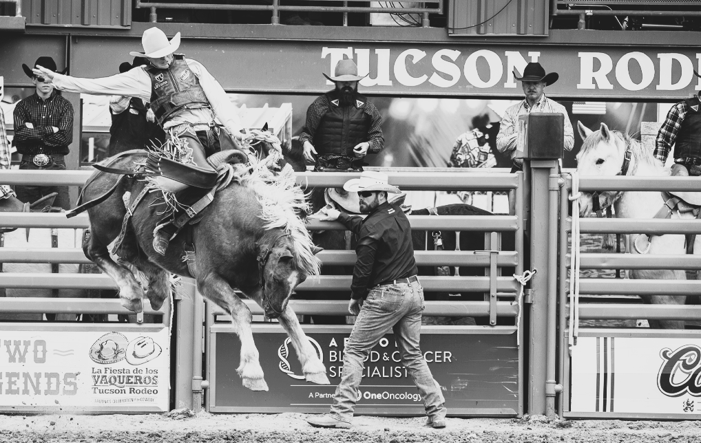 A rodeo event with a cowboy on a bucking horse, a rodeo official standing nearby, and several spectators in the background at Tucson Rodeo.