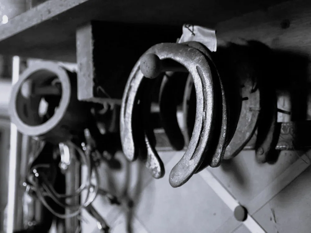 Close-up of a horseshoe hanging upside down from a wooden surface in black and white.