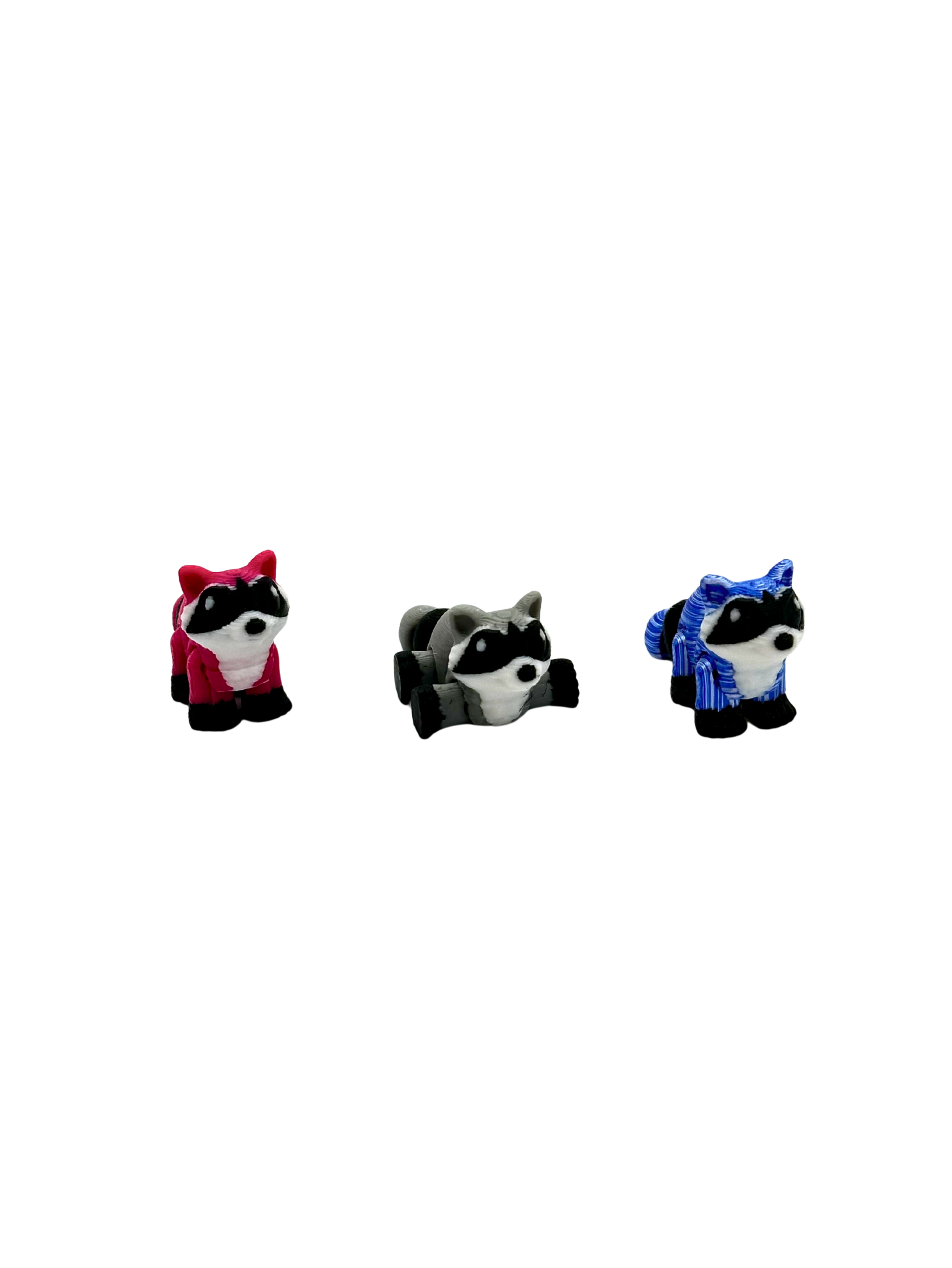 Raccoon
