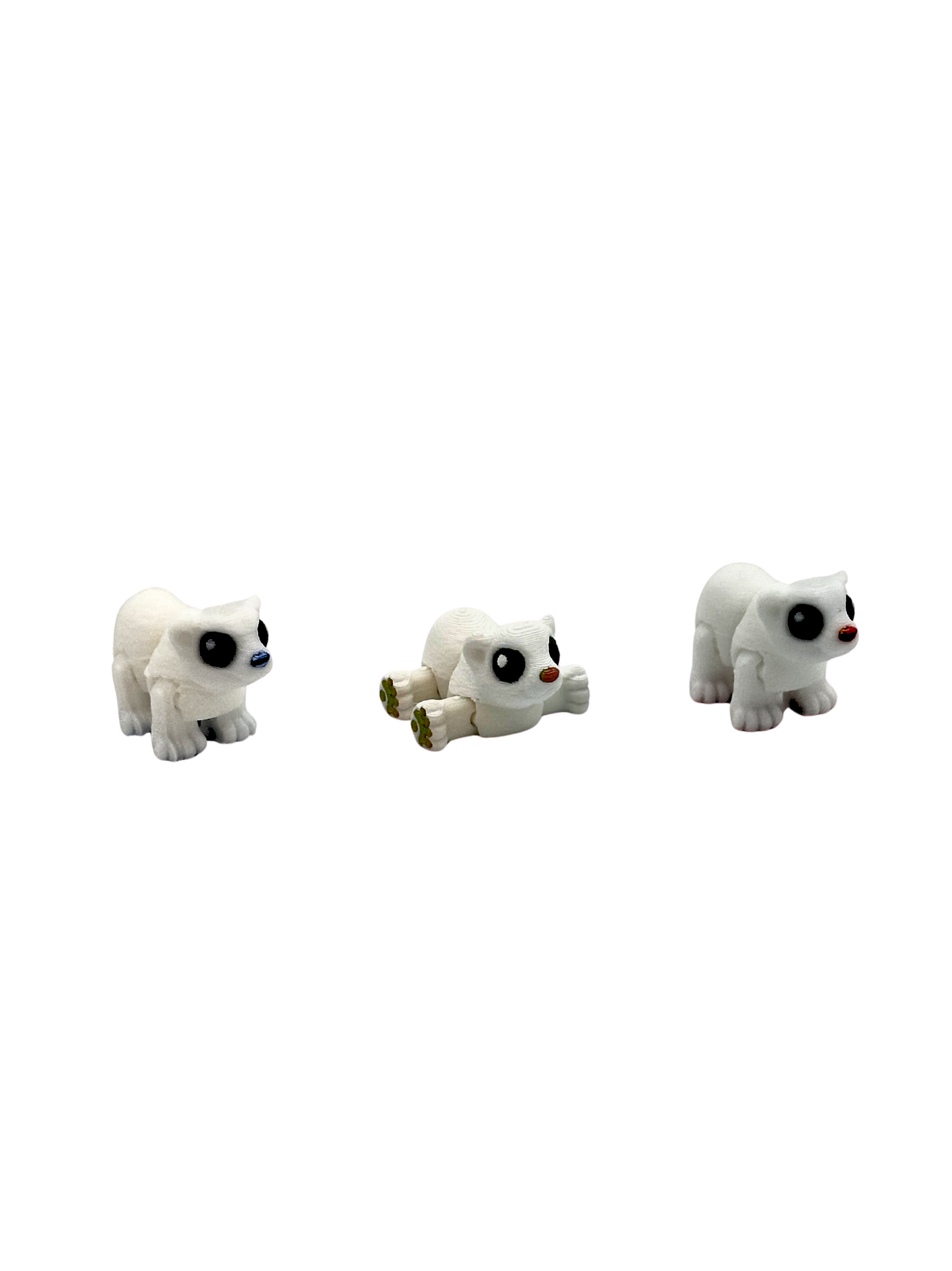 Polar Bear