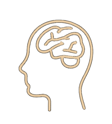 Outline of a human head with a simplified brain illustration inside.