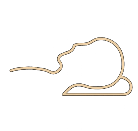 Outline of a cotton boll with a cotton plant branch, depicting cotton harvesting.
