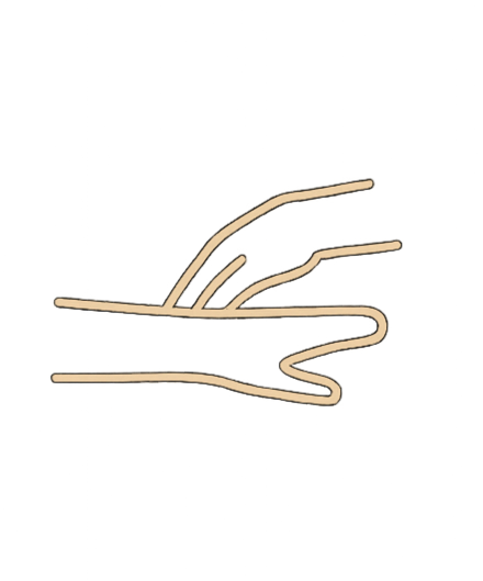 Diagram of a human respiratory system showing trachea, bronchi, and lungs inside a torso outline.