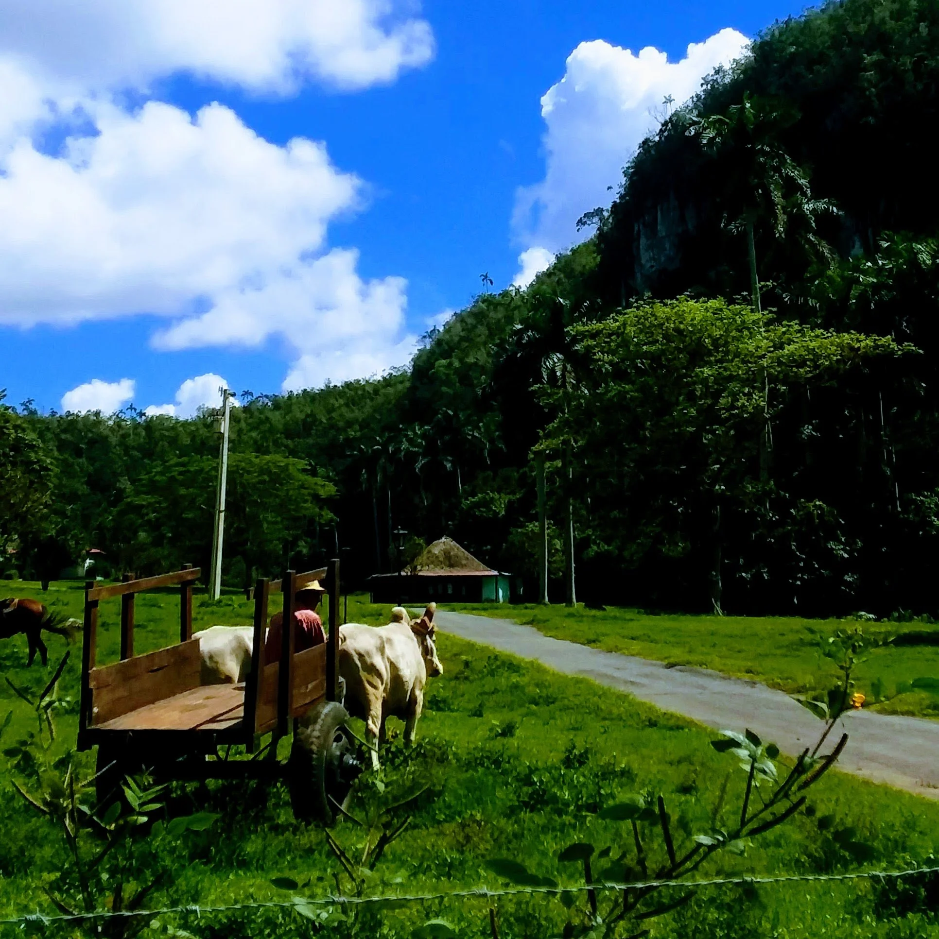 CUBA: Vinelas Valley