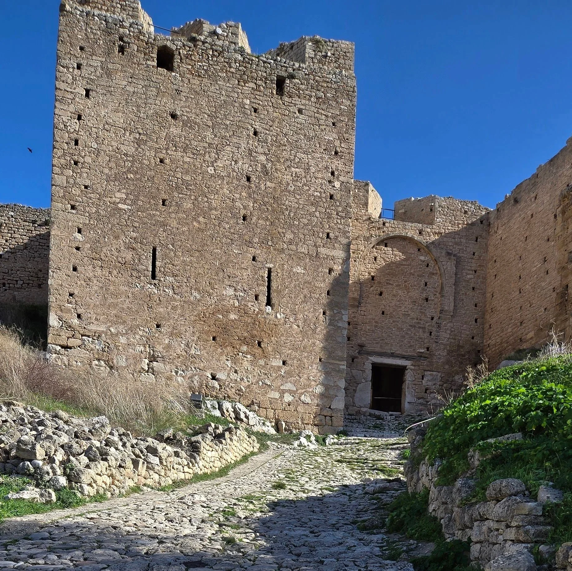 Bet on an Underdog Country