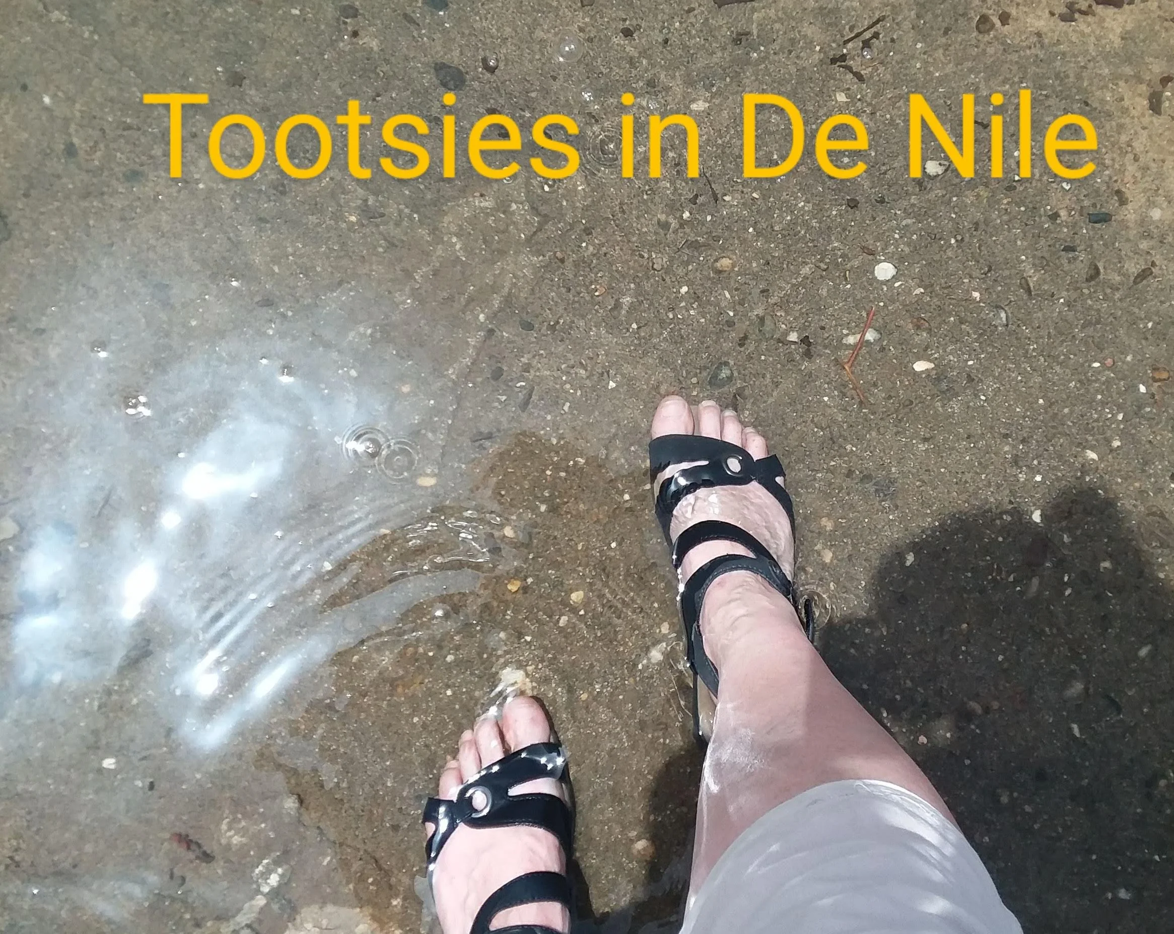 Philae, Egypt: Ancient Ones, Crocodiles and a Swim In The Nile