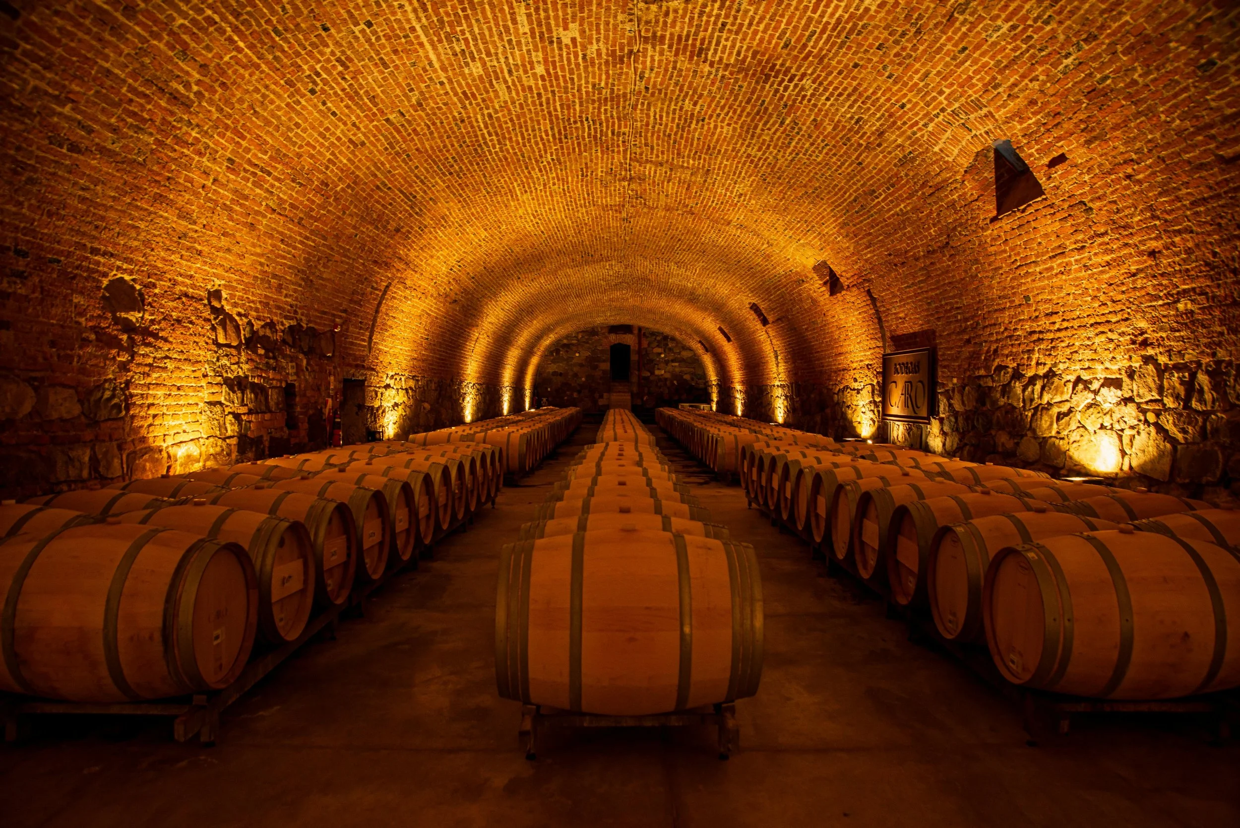 Comment conserver le vin dans un climat tropical ?