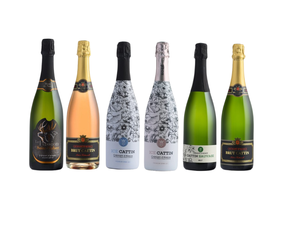 Présentation exclusive des vins Cattin
