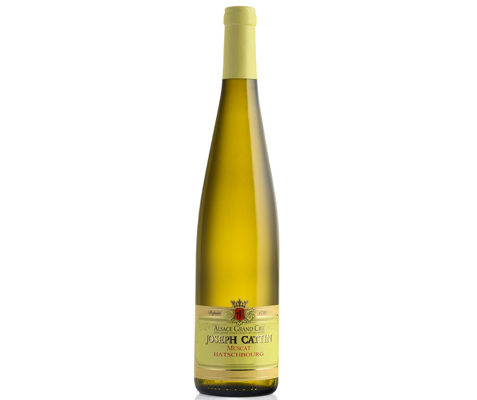 Alsace Muscat Grand Cru Hatschbourg – AOC Vin Blanc