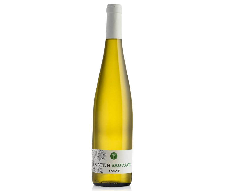 Alsace Sylvaner Sauvage BIO – AOC Vin Blanc