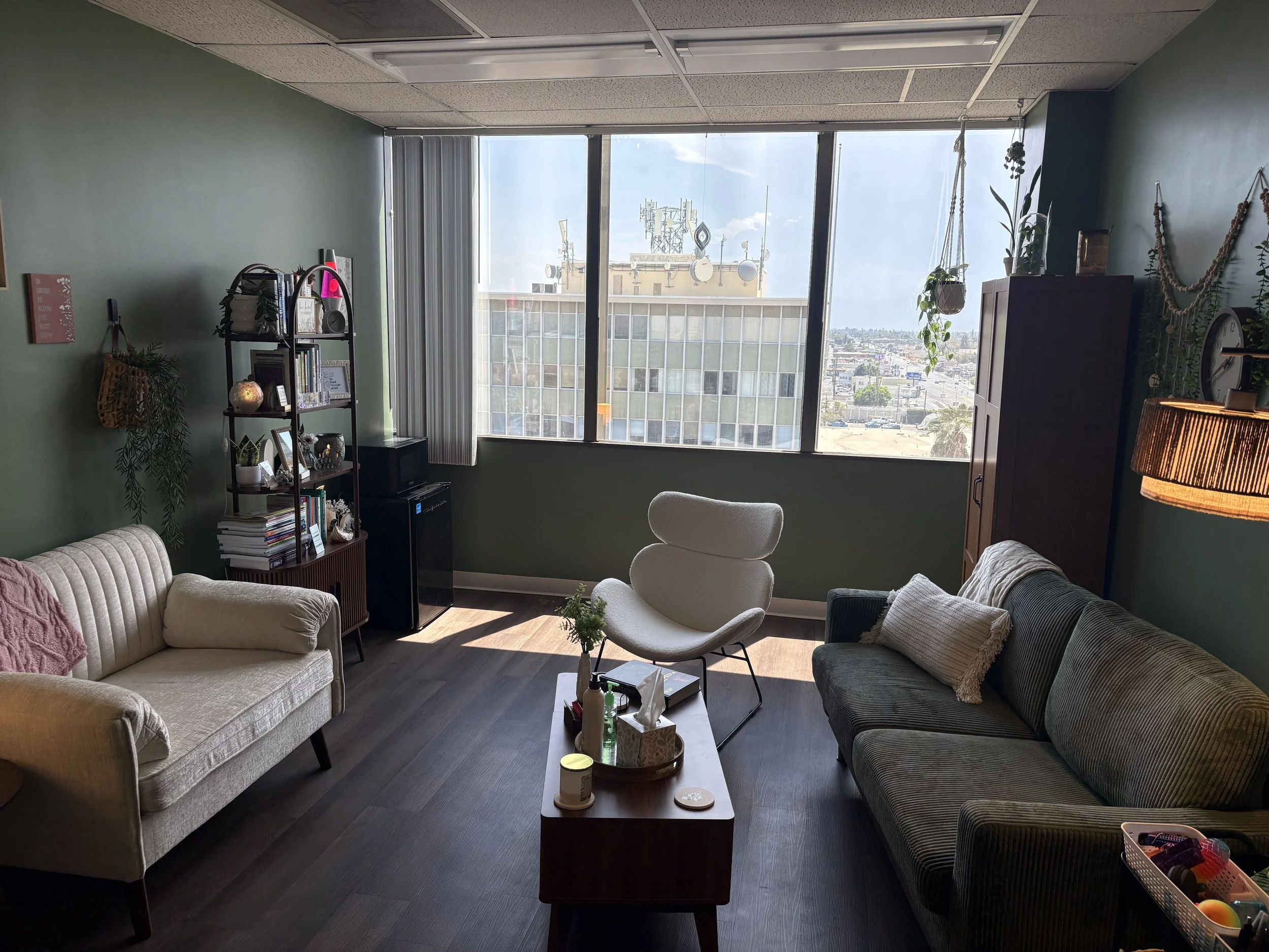 Therapy office with a large window and natural light, two beige chairs, small coffee table with various items, bookshelf with books and decor, plants, green couch, and city view outside