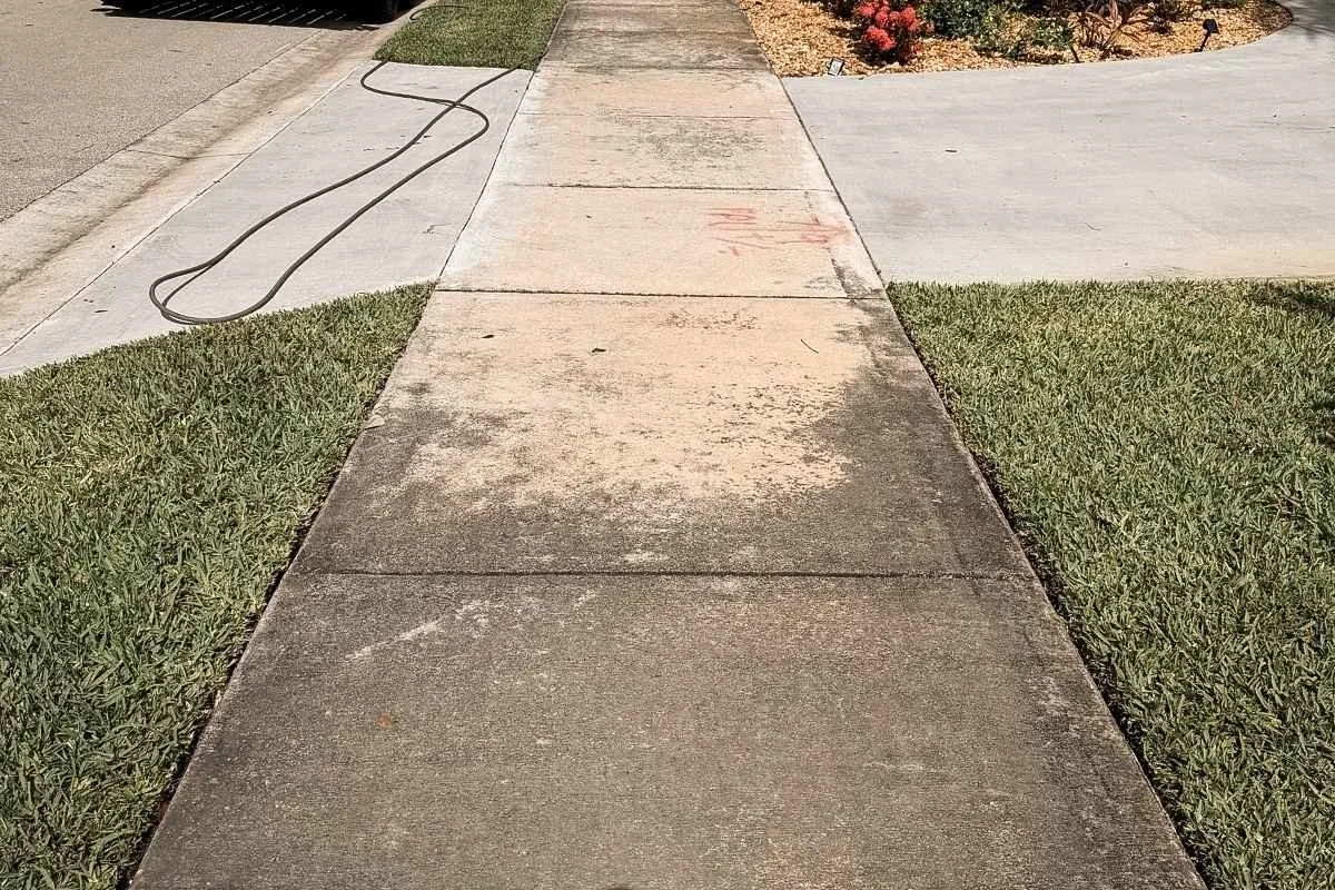 Concrete walkway with moisture and light organic buildup after repeated rain exposure in South Florida.