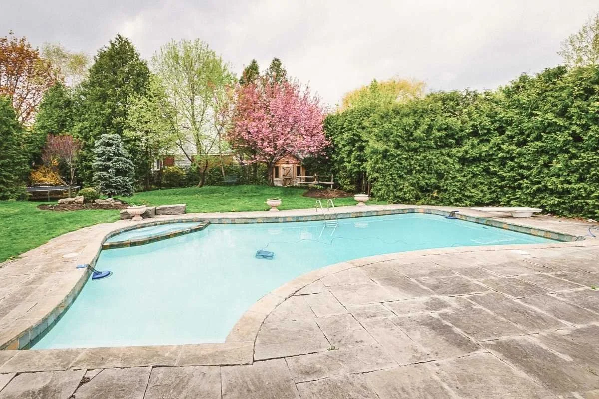 Why Driveways, Pool Decks and Walkways Become Slippery in South Florida