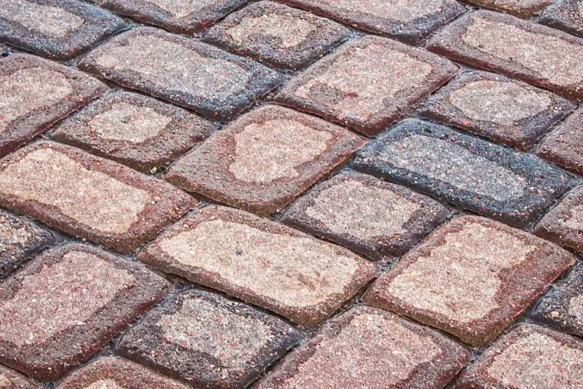 Signs Your Outdoor Surfaces Are Not Ready for Rain Season in South Florida