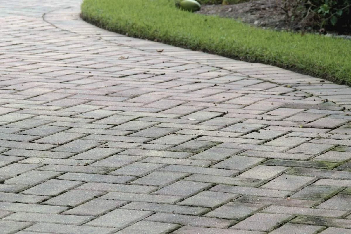 Paver surface with light organic buildup and debris before cleaning and preparation for rain season.