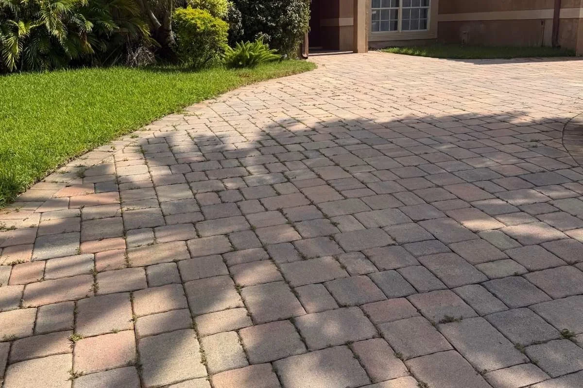 Paver driveway in Coral Springs before cleaning showing weeds, stains, and joint areas needing attention.