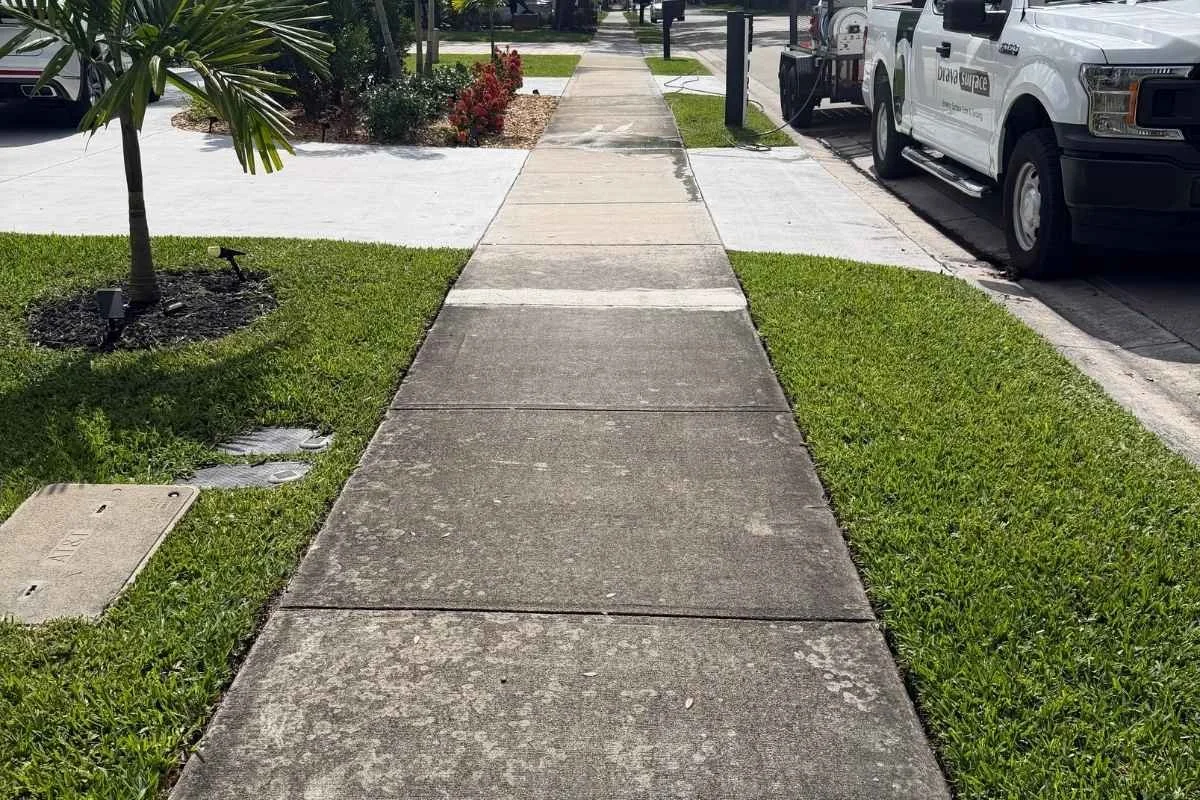 Walkway in South Florida with light organic buildup that may become slippery after repeated rain.