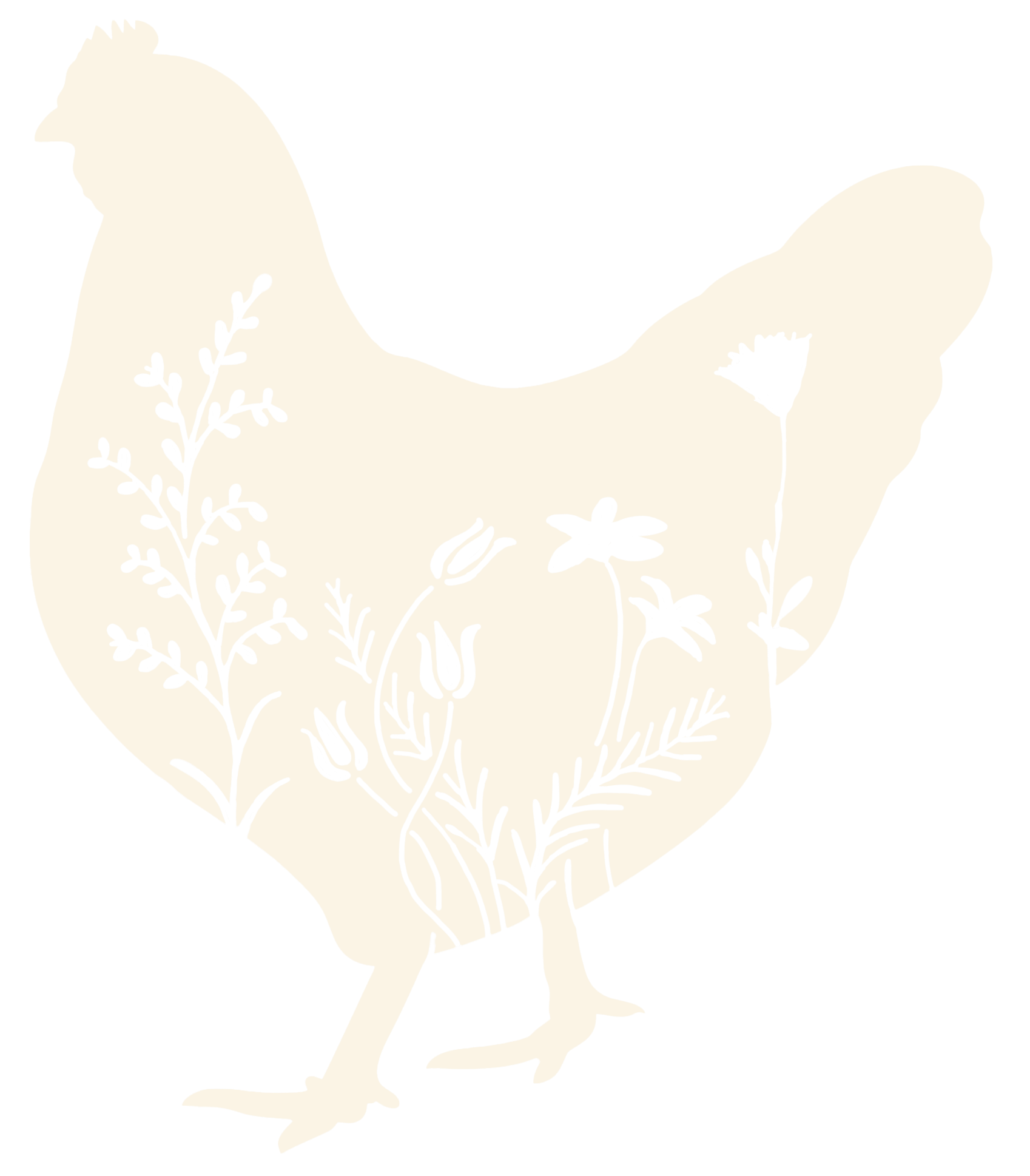 An illustration of a bird with floral and plant details inside its silhouette.