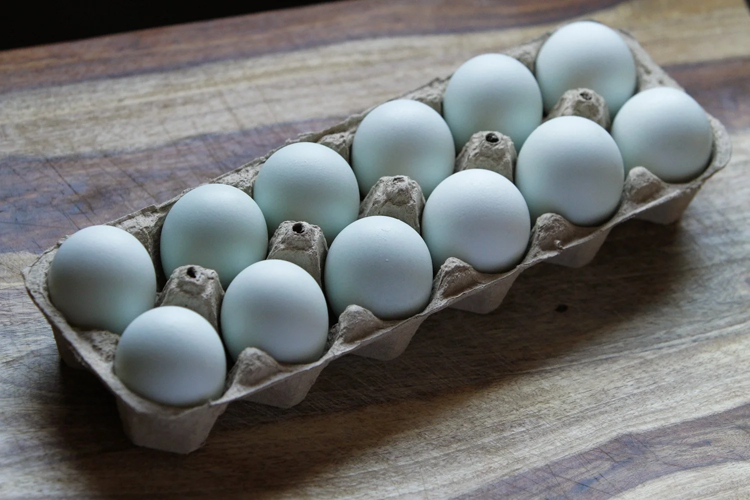 Pasture Raised Blue Eggs