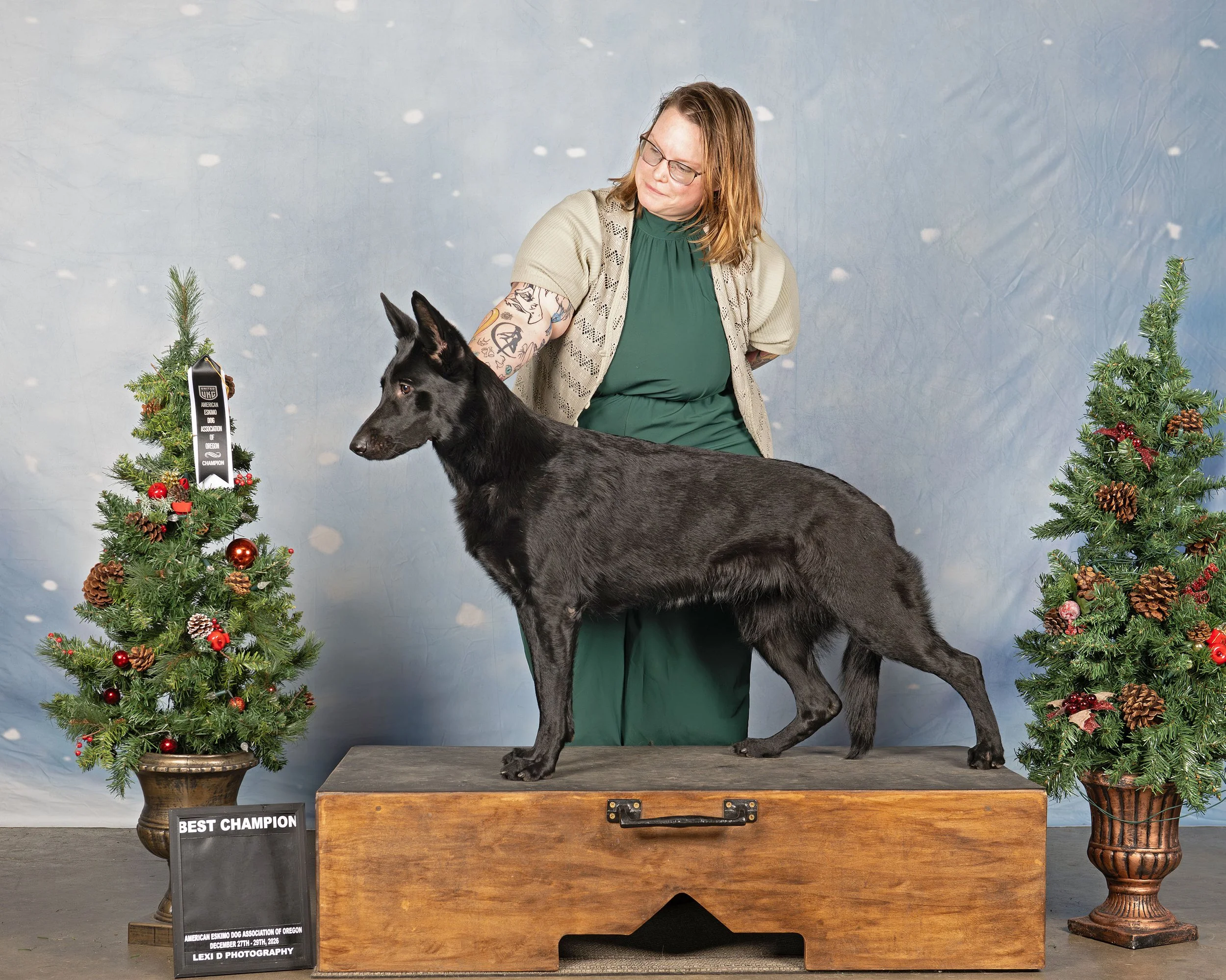 Cynder now has 3 of 5 legs towards her Grand Champion!