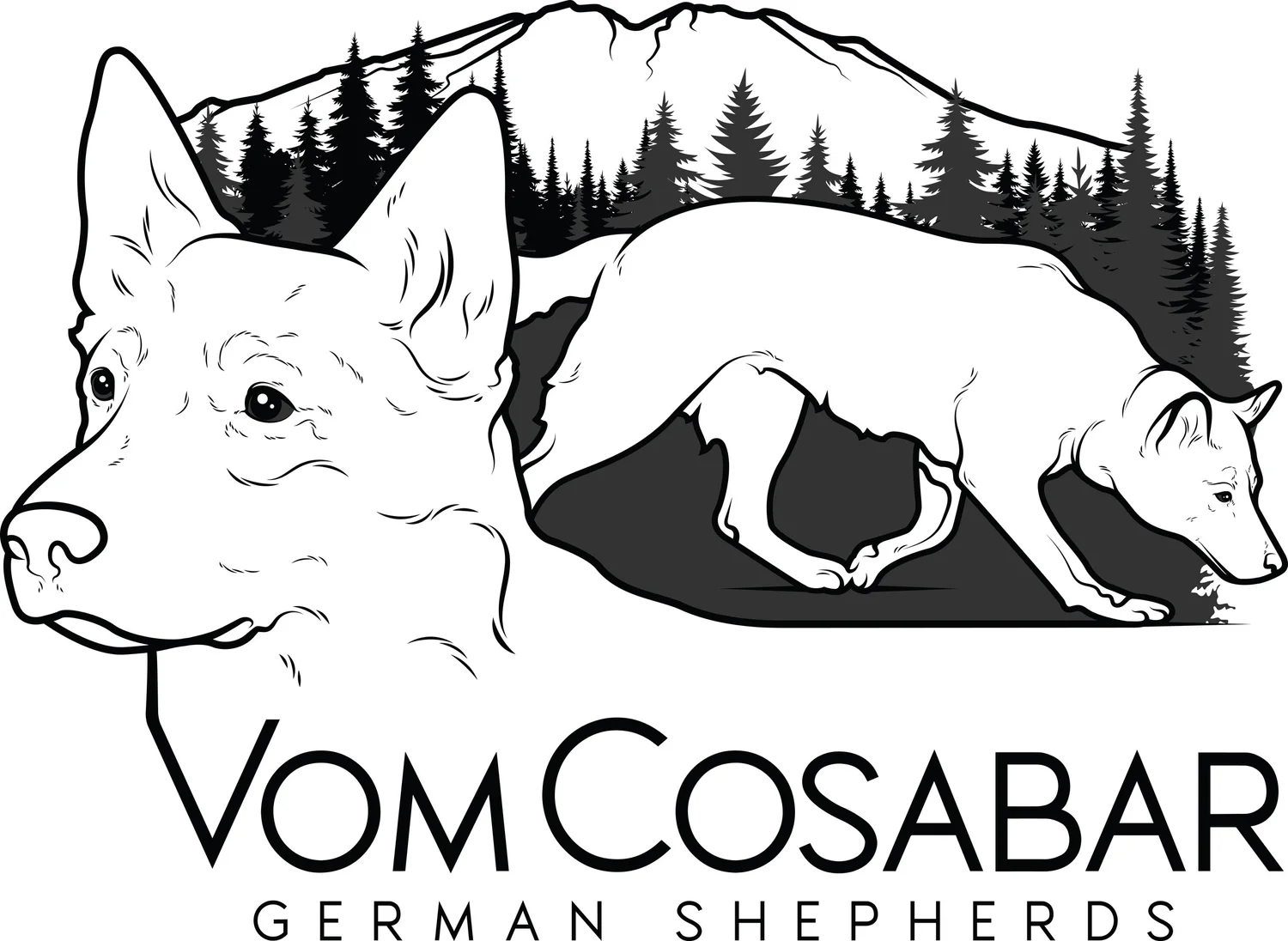 Vom Cosabar