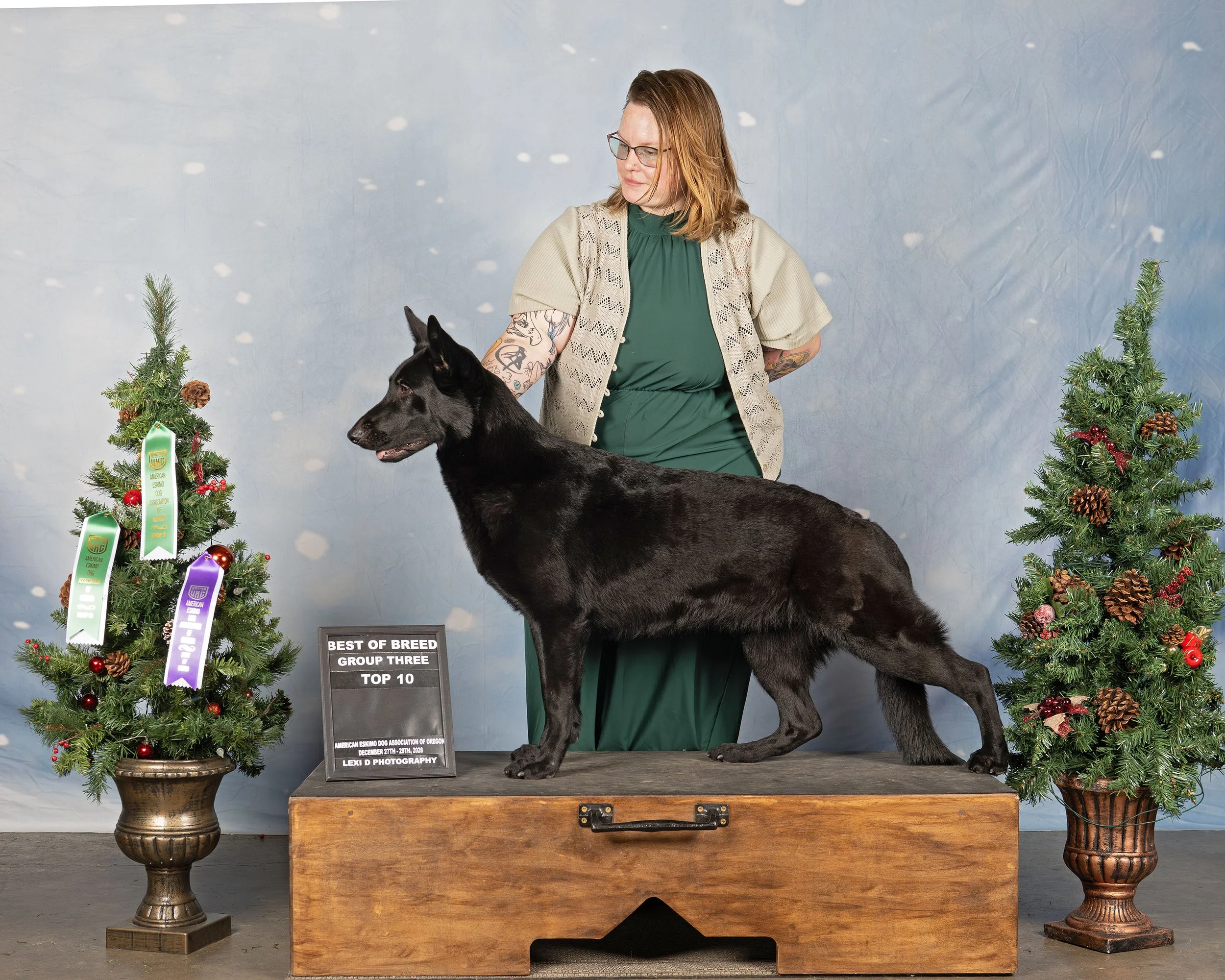 Ending the 2025 year with a bang! 99 points towards her UKC Top ten Breed making her 5th!