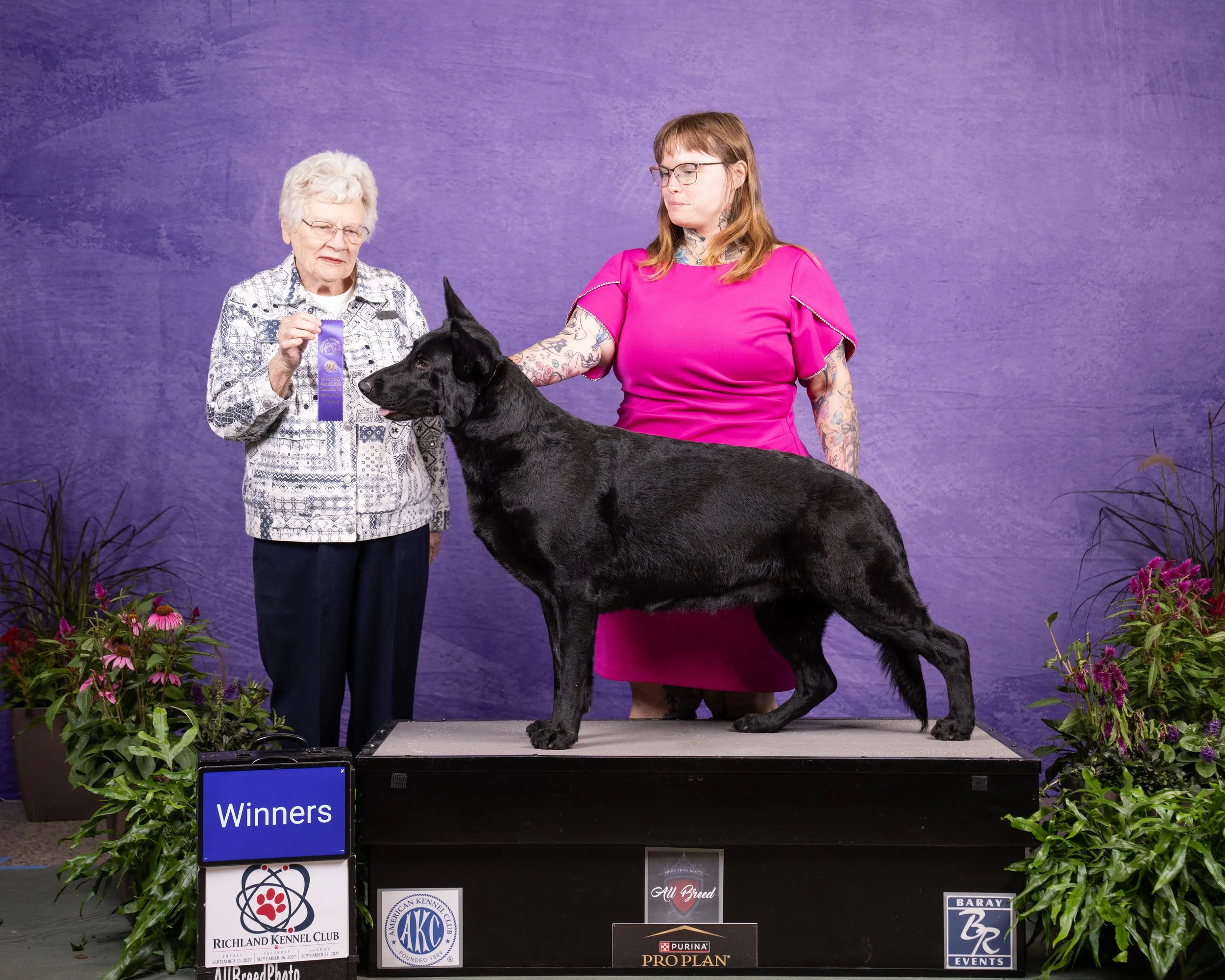 Cypress point 2 in AKC