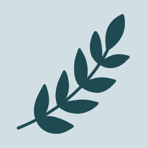 A simple dark green leafy branch representing whole person healthcare and integrative medicine clinic Austin Texas at Westlake Medical Arts