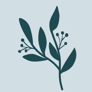 Simple illustration of a plant representing mold and environmental illness doctor Austin TX Westlake Medical Arts