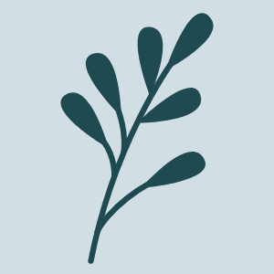 Illustration of a simple botanical sprig representing whole person healthcare Austin Texas at Westlake Medical Arts