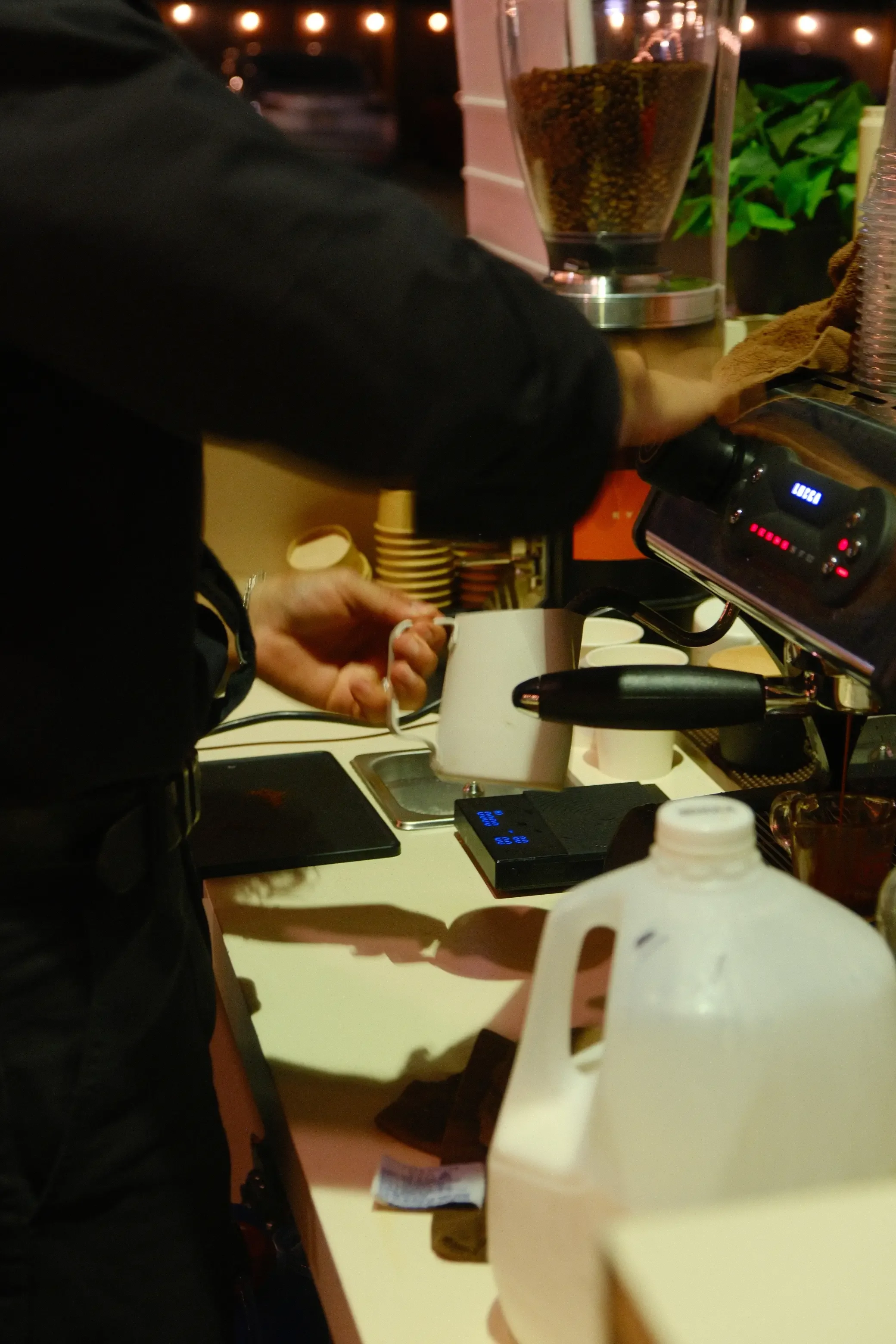 Eyevel barista crafting drinks behind the espresso bar