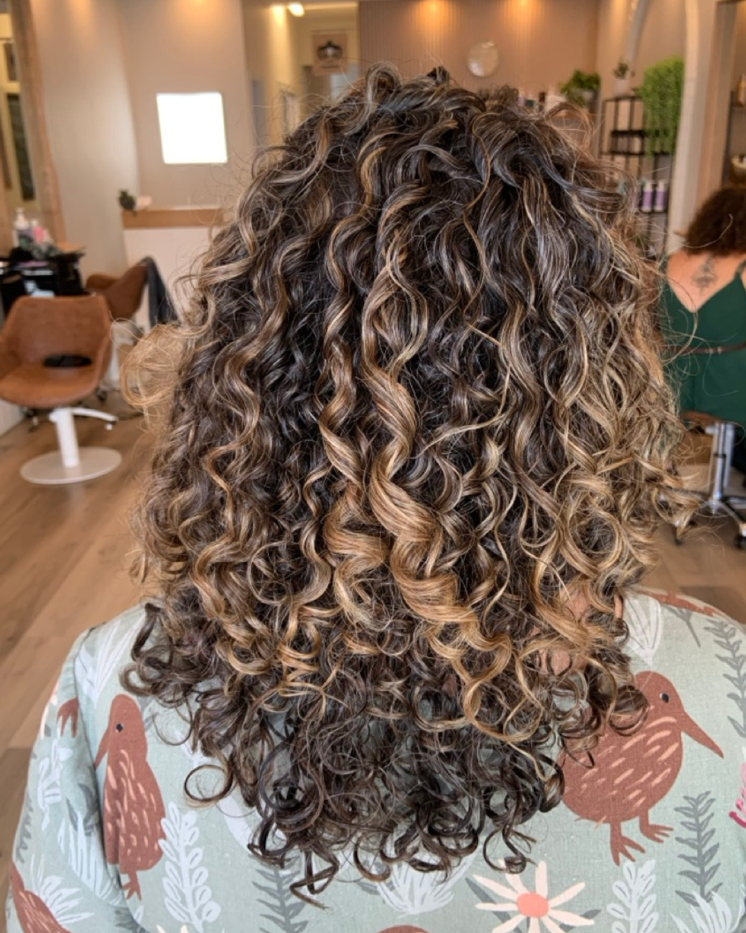 Back of a person's head showing long, curly hair with light brown and dark brown highlights.