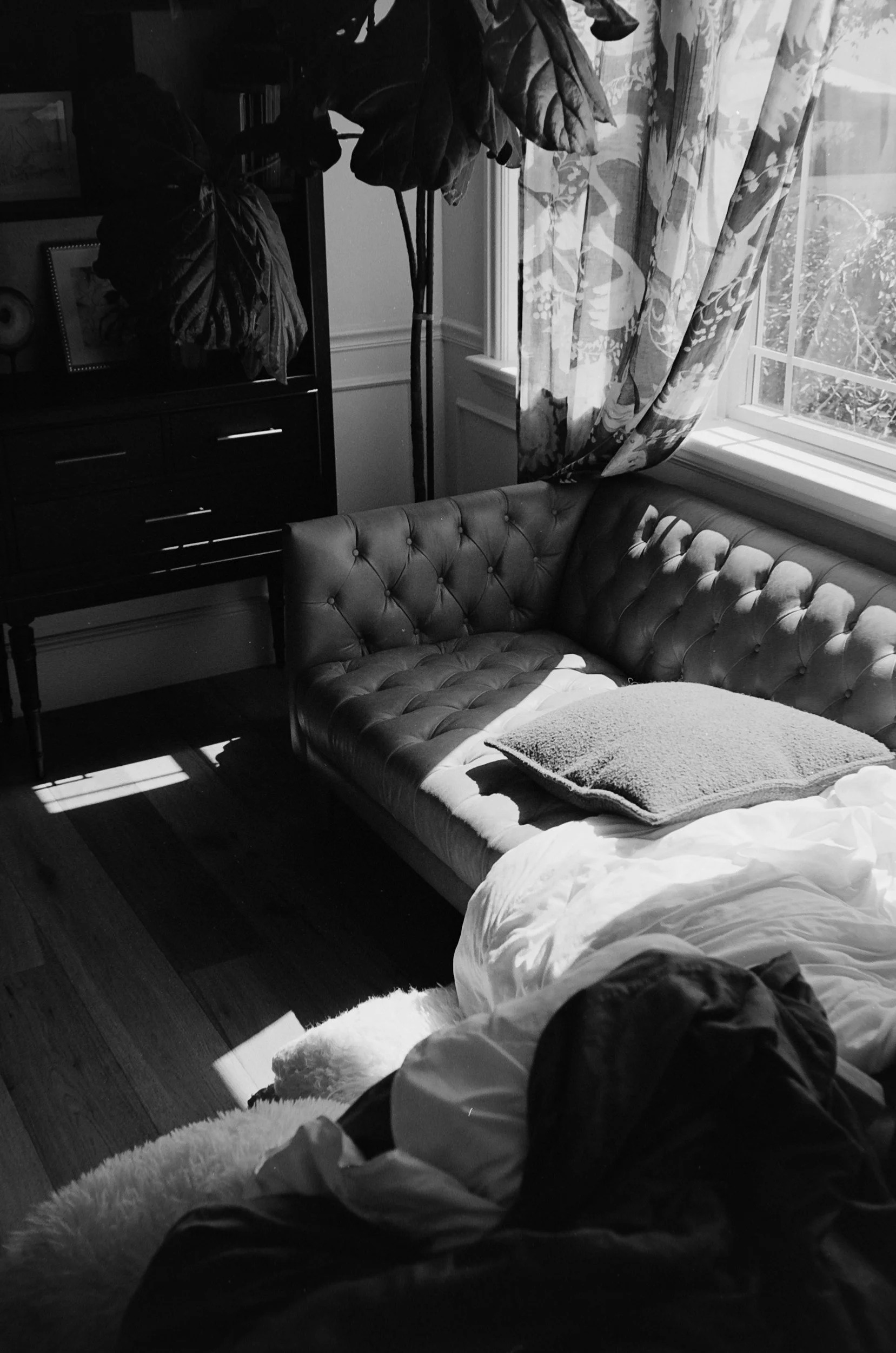 Coping with Losing a Pet 