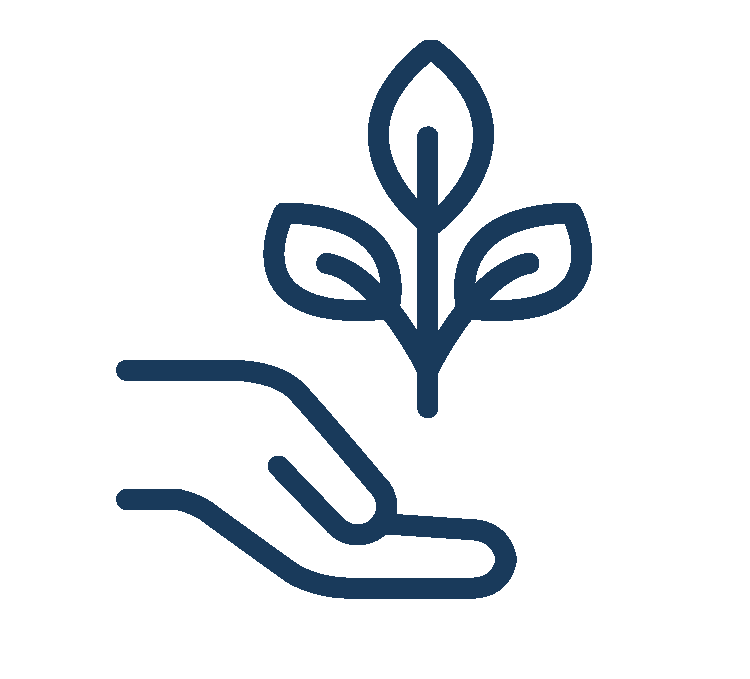 Line drawing of a hand holding a small plant with three leaves.