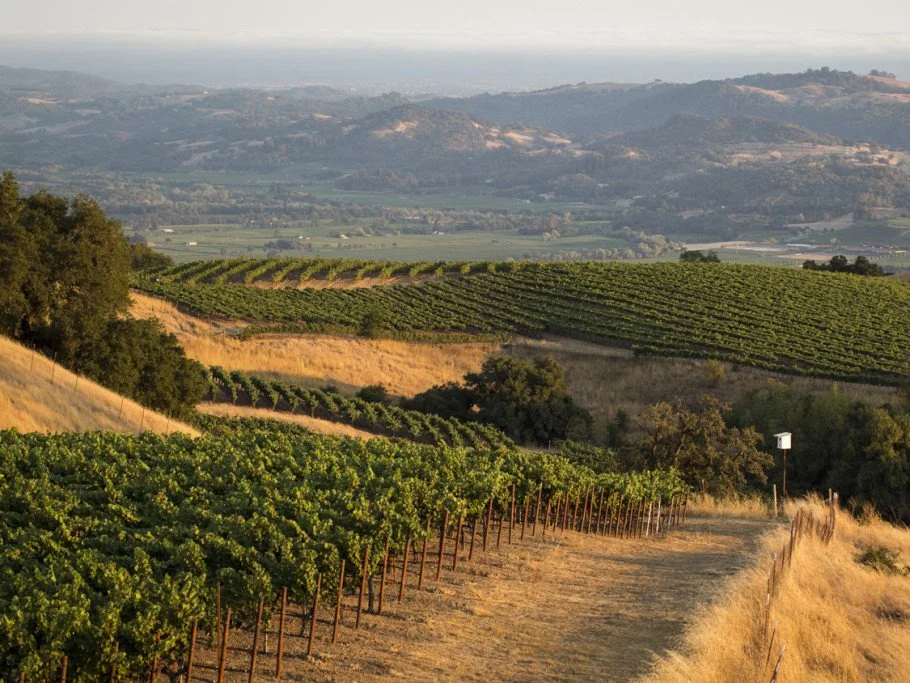 A Mountain Dinner with Stonestreet &amp; Valette Wines