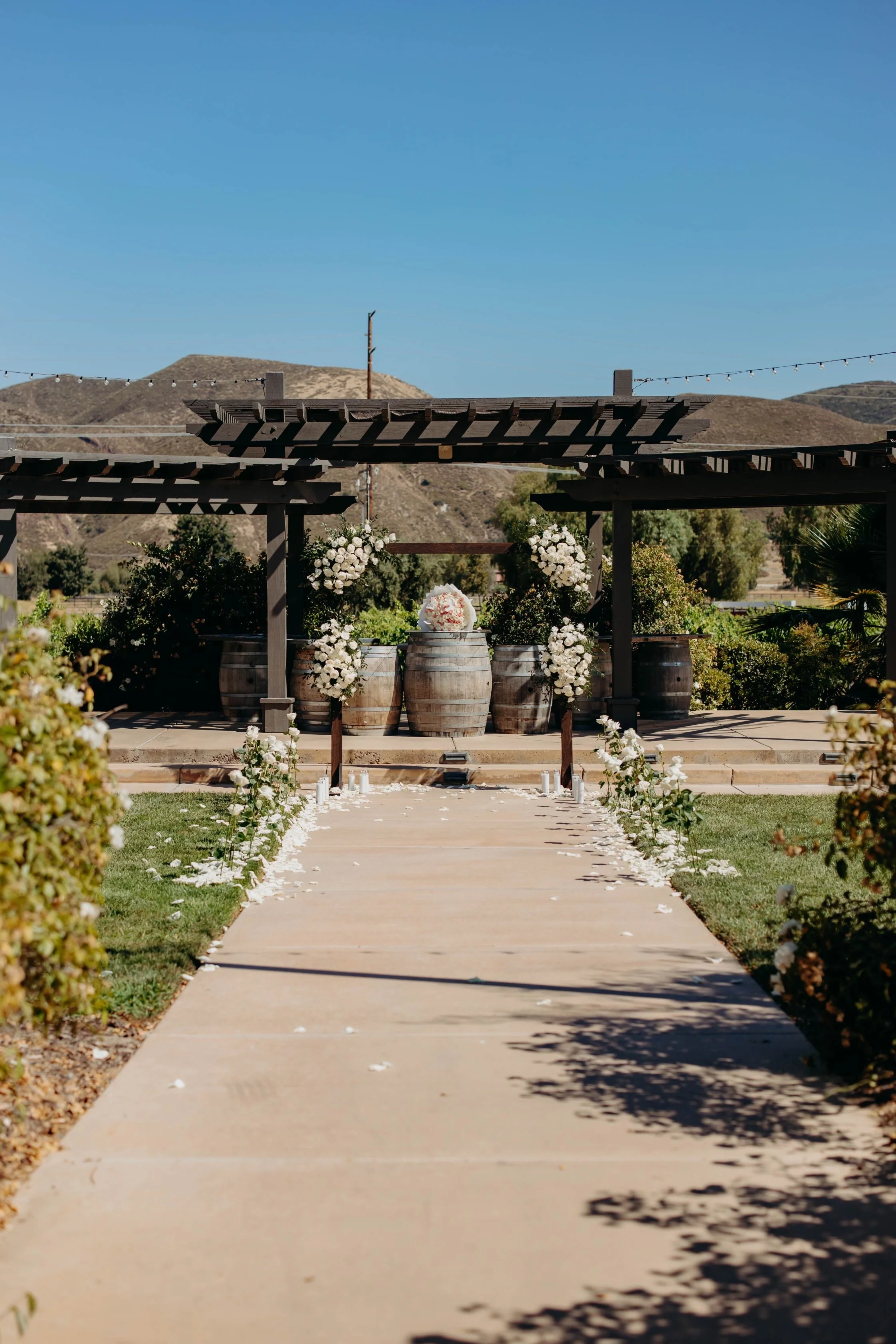 Wedding Backdrops