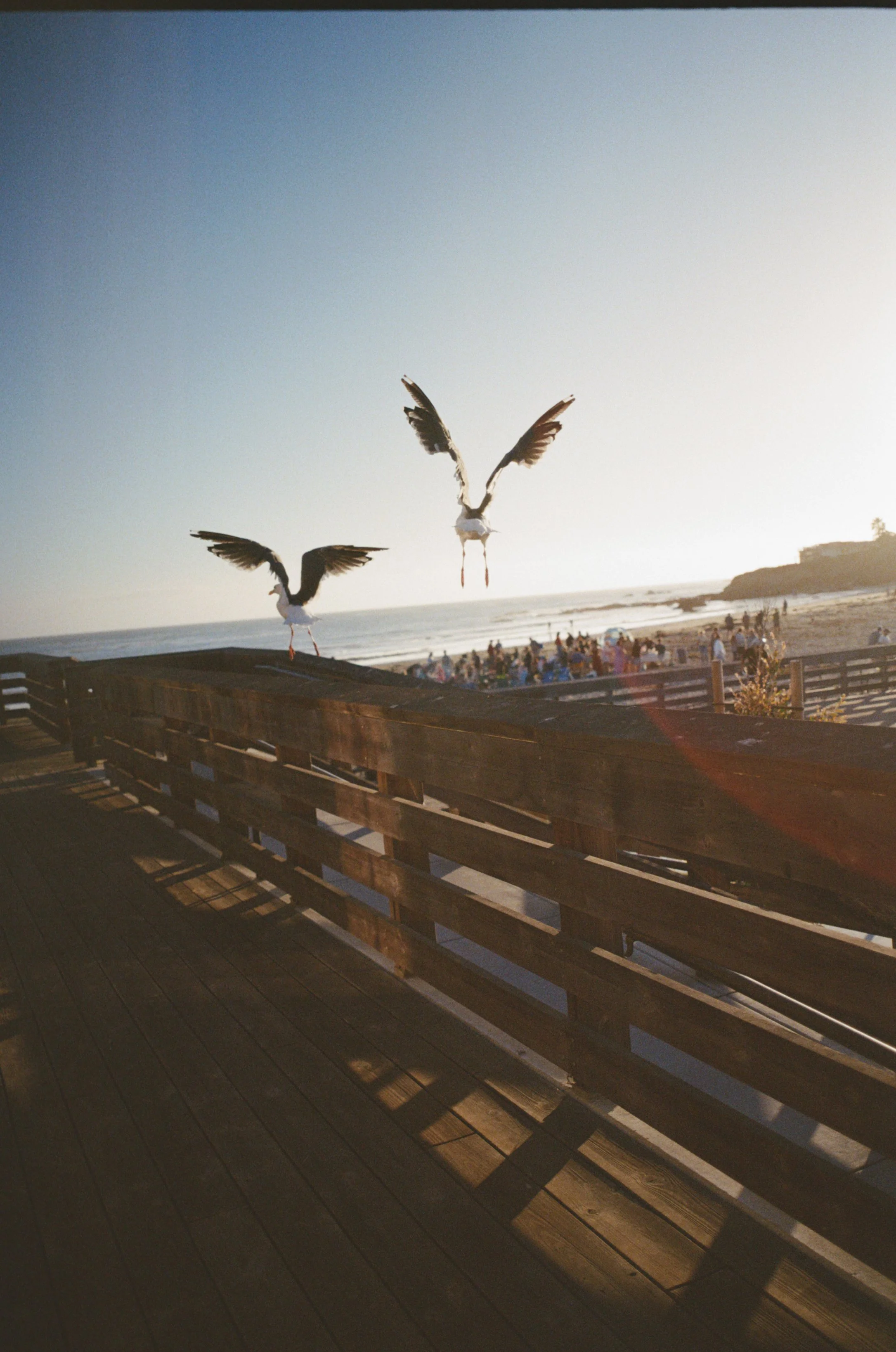 111194_MBI_015_29.jpg