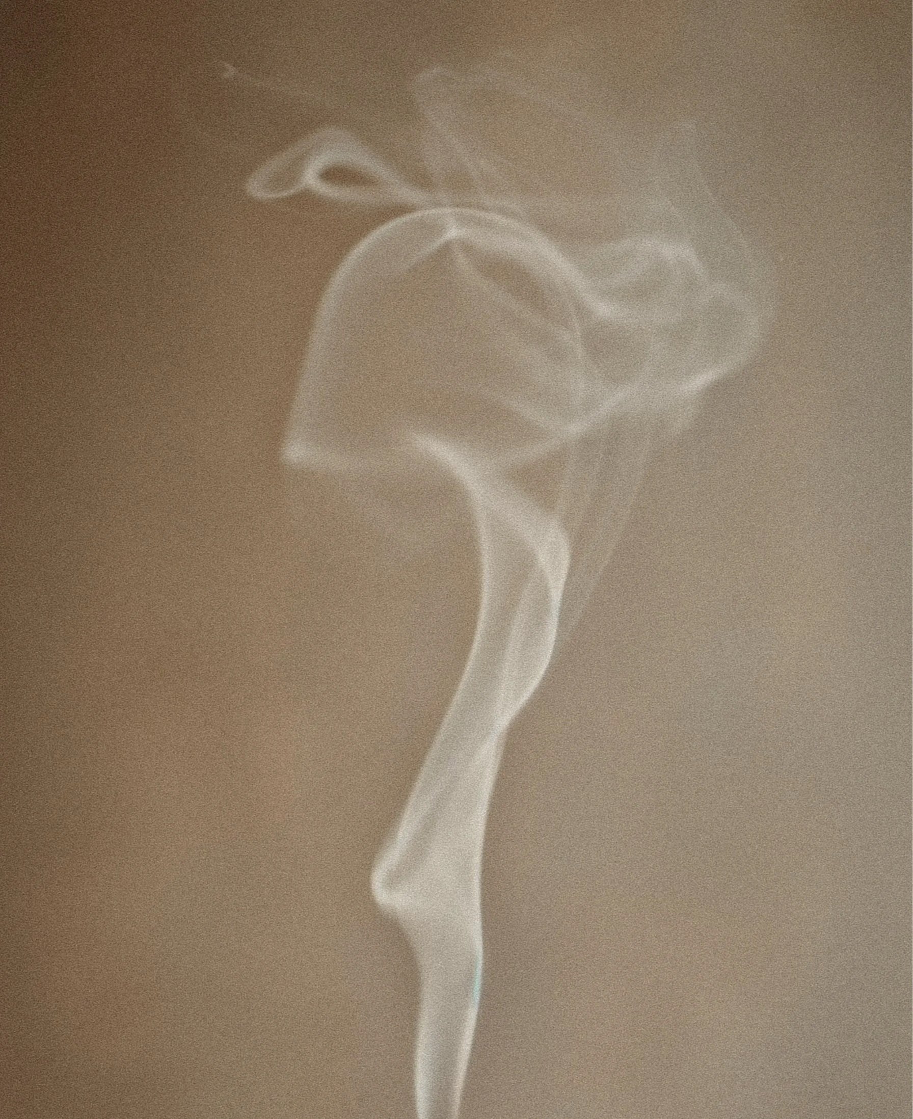 Soft, abstract wisps of smoke against a neutral background.